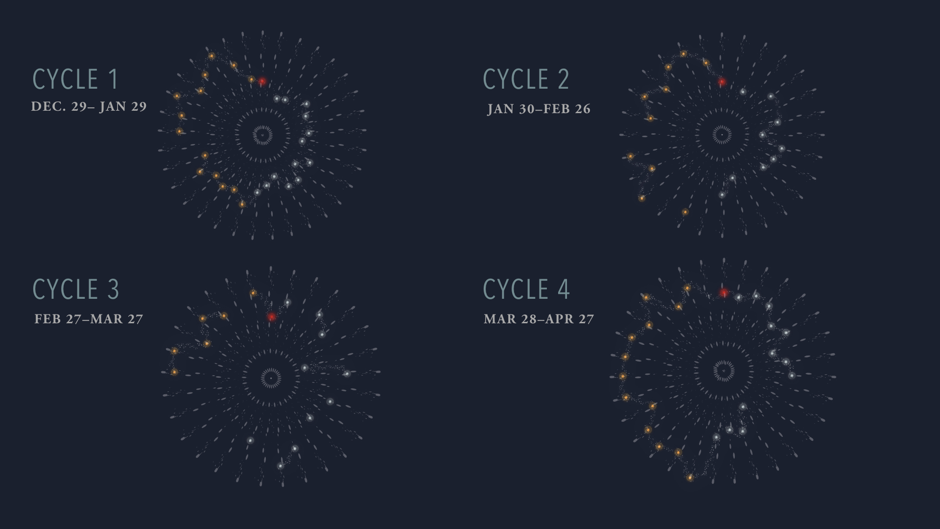 The cycles plotted in a polar graph, to emphasize their cyclical nature